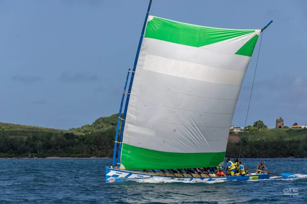 La yole Bimini